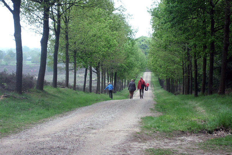 Wandelen